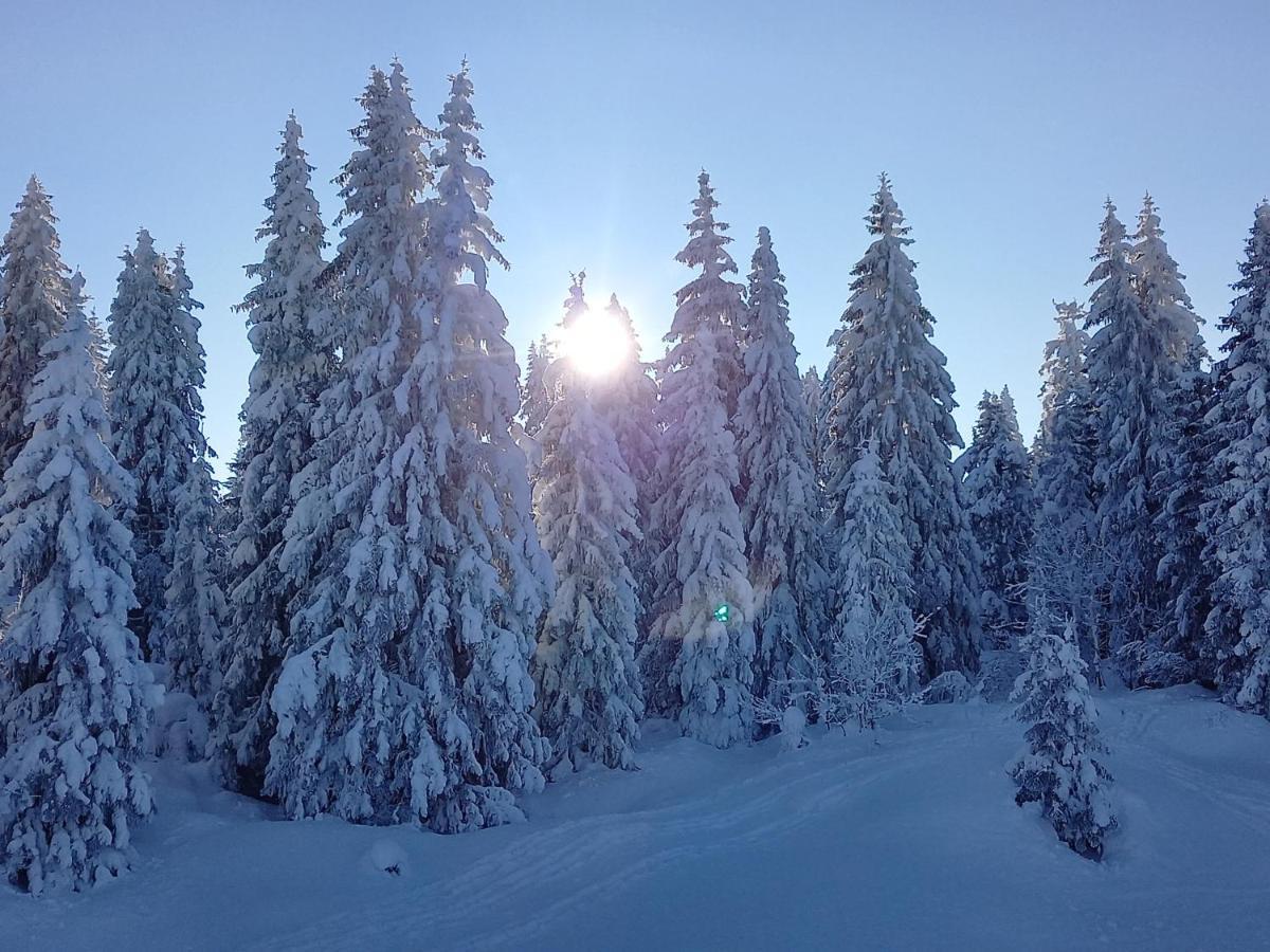 Au Pied Du Pertuiset Appartement Drumettaz-Clarafond Buitenkant foto